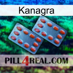 Kanagra 05